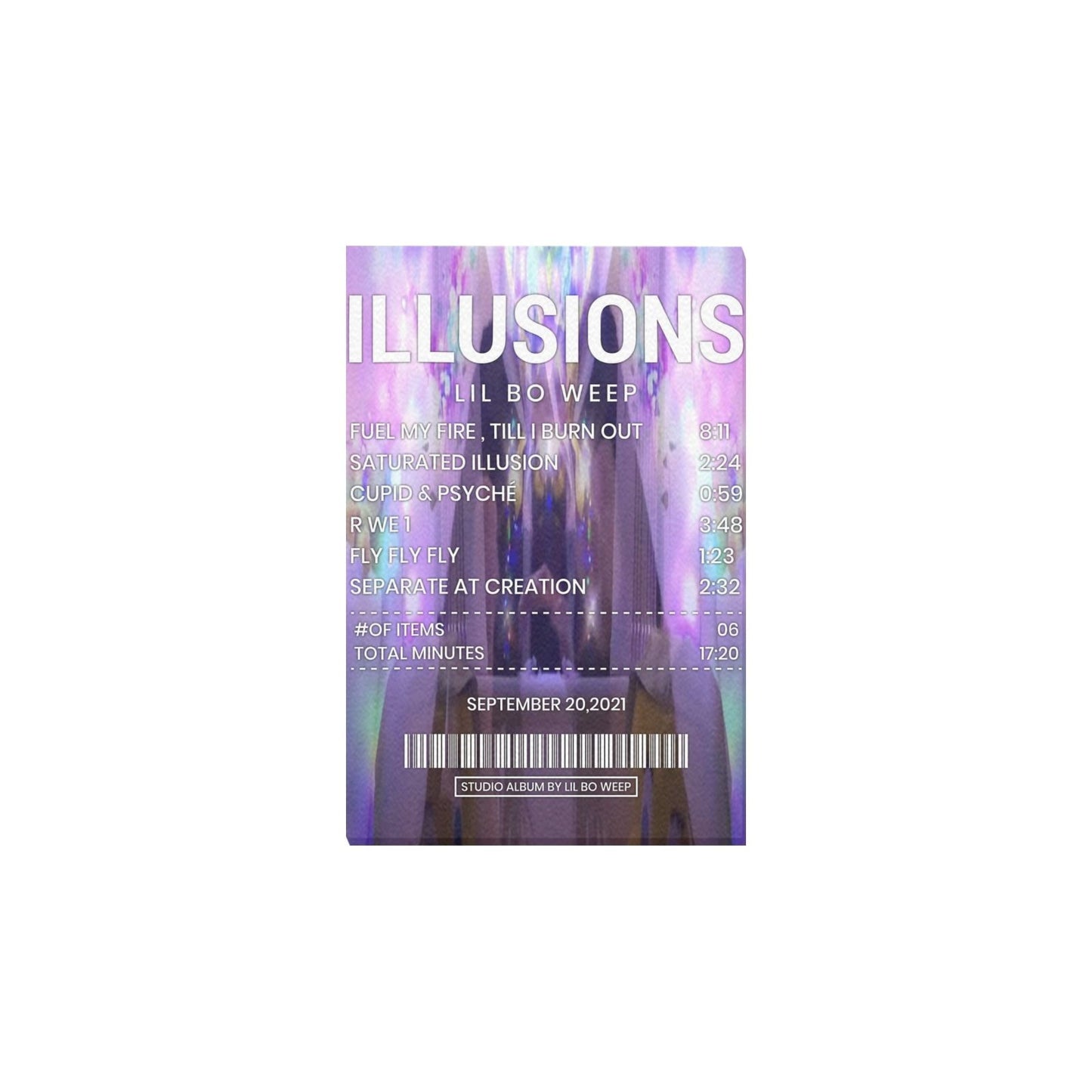 Illusions by Lil Bo Weep Canvas
